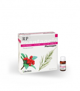 Plantaggio Rp - Herboldiet