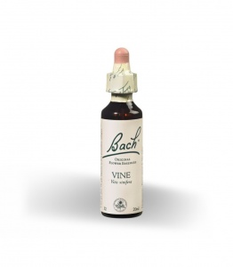 Vine 32 - Herboldiet